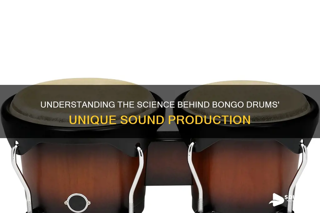 how do bongos make sound