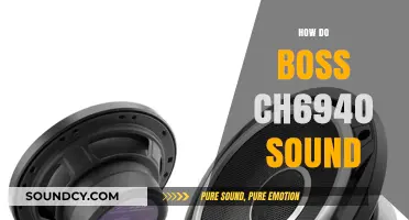 Boss CH6940 Sound Review: Crisp, Clear, and Powerful Performance