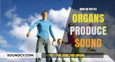 Unveiling the Science Behind Bottle Organ Sound Production