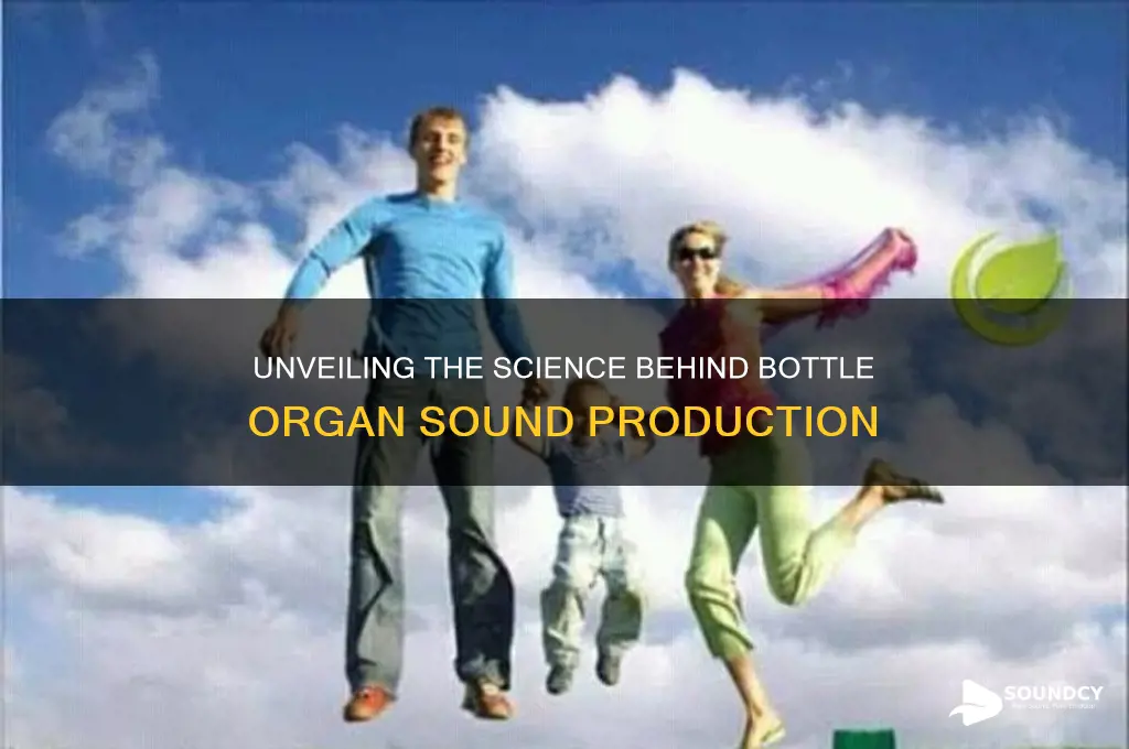 how do bottle organs produce sound