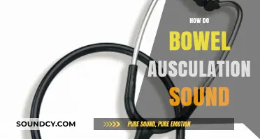 Understanding Bowel Auscultation: What Normal and Abnormal Sounds Reveal