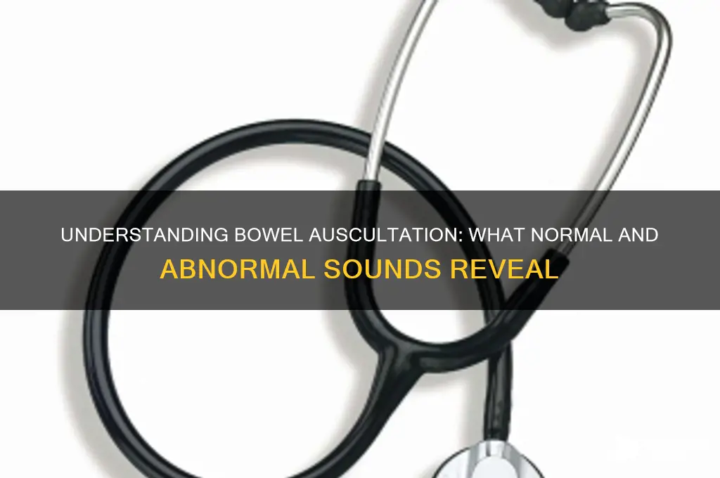 how do bowel ausculation sound