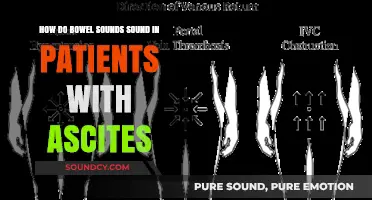 Ascites and Bowel Sounds: Understanding the Unique Auditory Clues