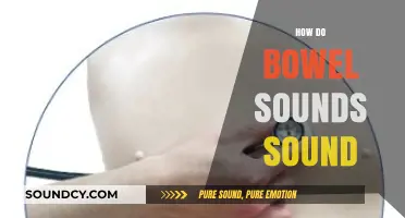Understanding Bowel Sounds: What They Should and Shouldn't Sound Like