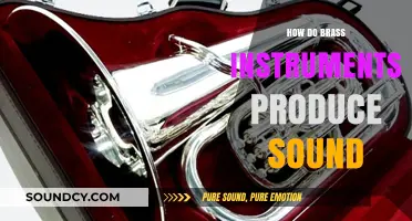 Unveiling the Science: How Brass Instruments Create Vibrant Sounds