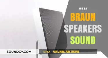 Braun Speakers Review: Unveiling the Rich, Clear, and Immersive Sound Experience