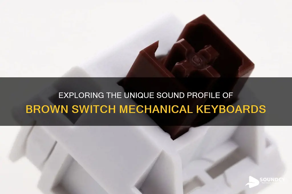how do brown switches sound keyboard