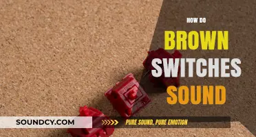 Exploring the Unique Acoustic Experience of Brown Switches in Keyboards