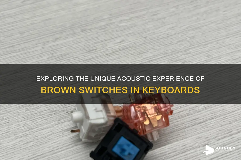 how do brown switches sound