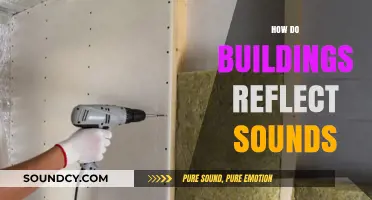 Echoes of Architecture: How Buildings Shape and Reflect Sounds