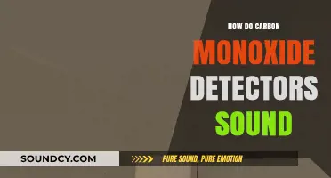 Understanding the Alarming Sounds of Carbon Monoxide Detectors