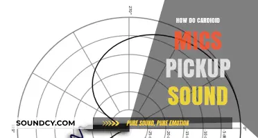 Understanding Cardioid Microphones: How They Capture Sound Effectively