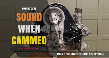 Cammed Car Sounds: Exploring the Unique Engine Roar and Performance
