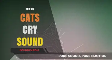 Understanding the Unique Sounds of Cats Crying: A Comprehensive Guide