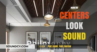 Exploring the Auditory Aesthetics of Centers: How Do They Sound?