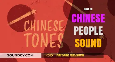 Exploring the Unique Pronunciations and Tones of Chinese Speech Patterns