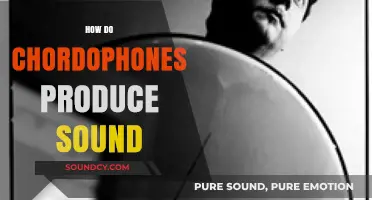 Unveiling the Vibrant World: How Chordophones Create Musical Sounds