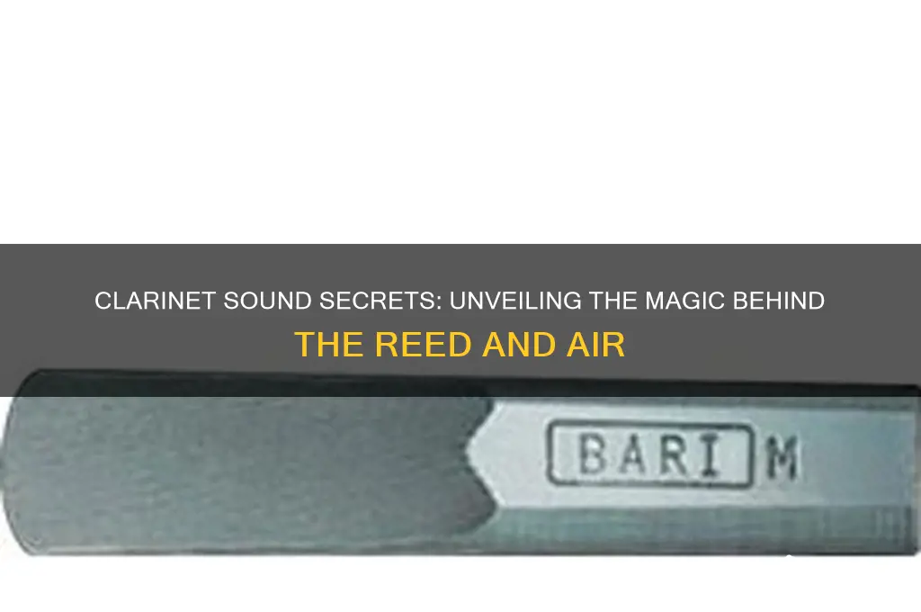 how do clarinets make sound