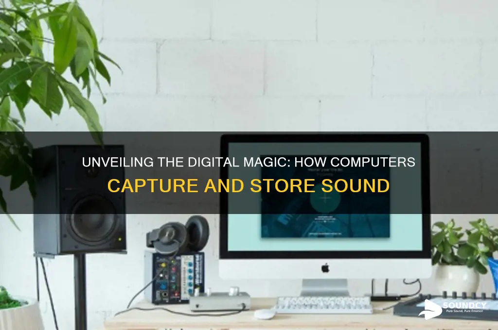 how do computers store sound