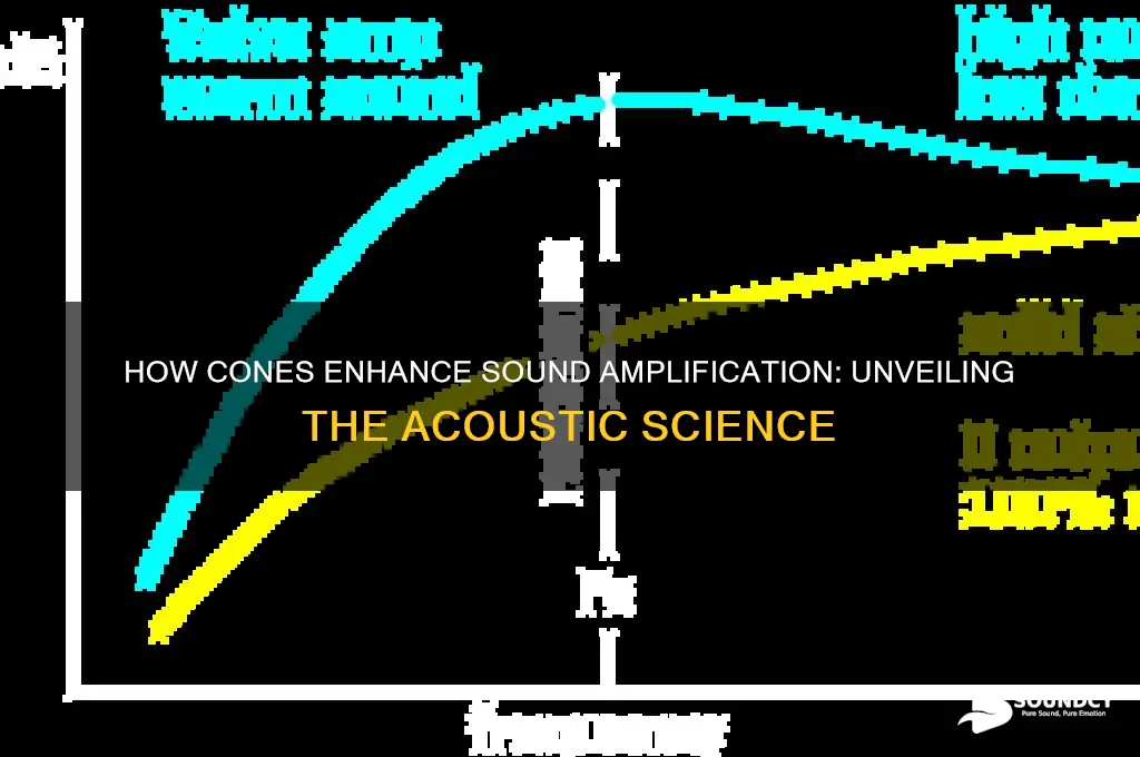 how do cones amplify sound