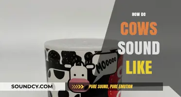 Understanding the Unique Sounds of Cows: Mooing and Beyond Explained