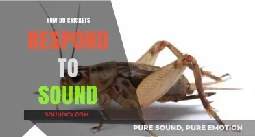 Decoding Cricket Communication: How They Respond to Sound in Nature