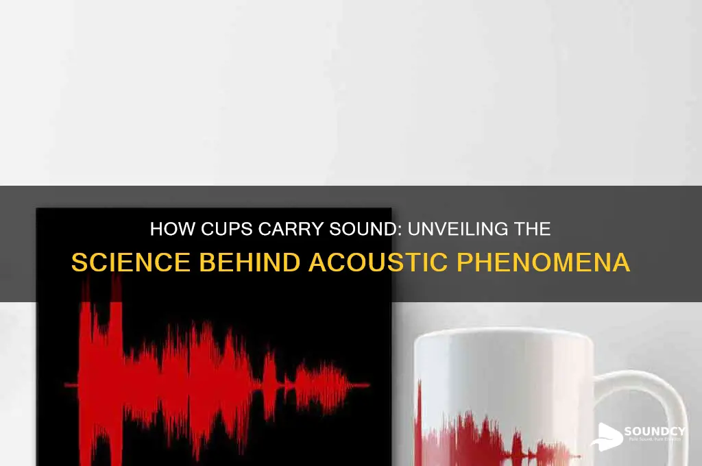 how do cups carry sound