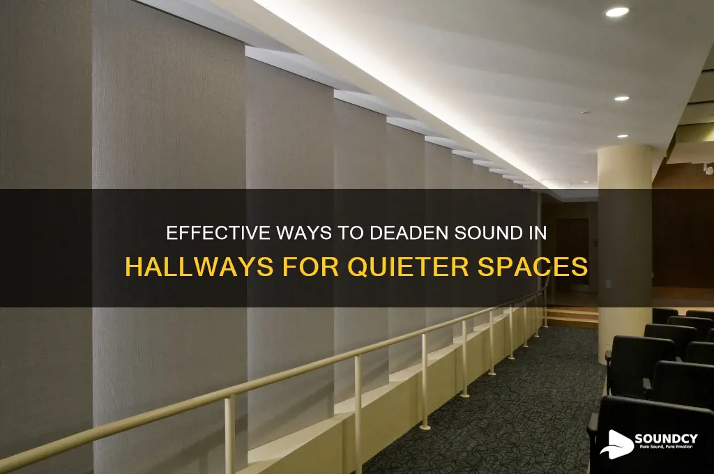 how do deaden sound in hallway