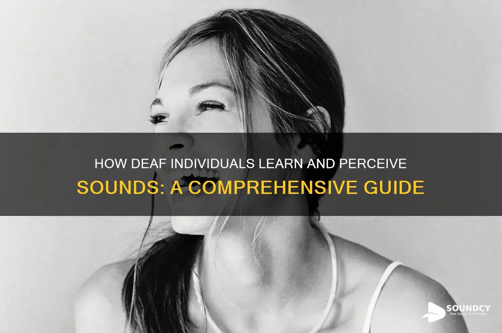 how do deaf people learn sounds