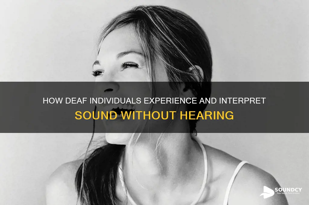 how do deaf people perceive sound