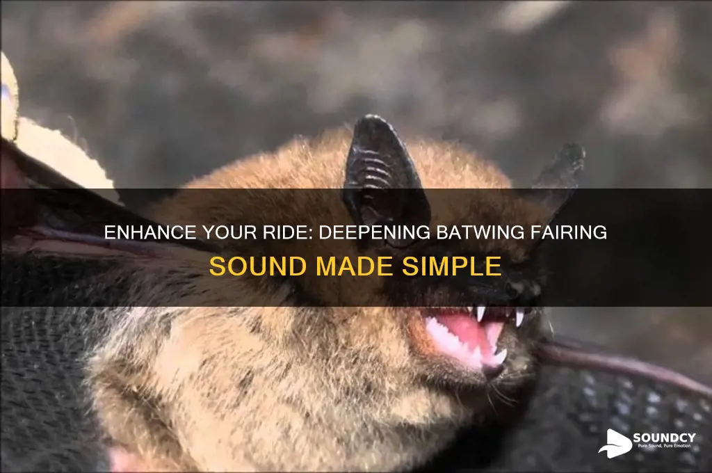 how do deepen the sound on your batwing fairing