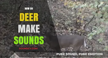 Unveiling the Unique Vocalizations: How Deer Communicate Through Sounds