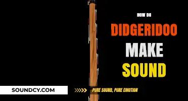 Unveiling the Didgeridoo's Buzz: How Circular Breathing Creates Unique Sounds