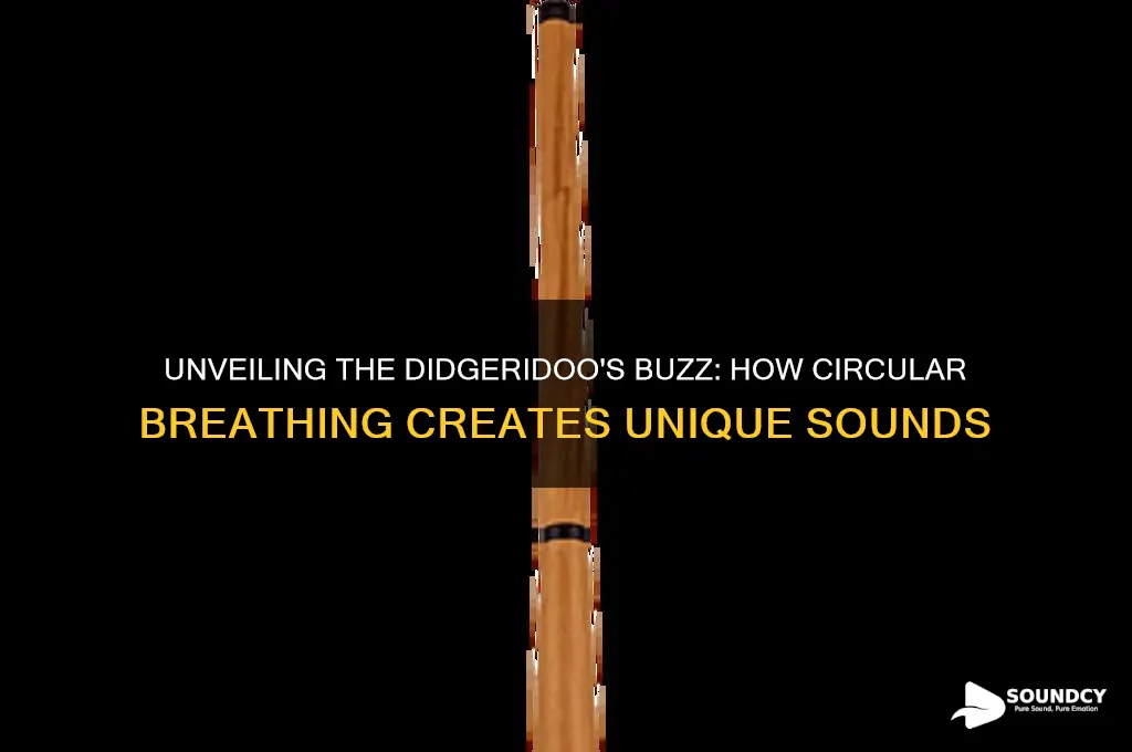 how do didgeridoo make sound
