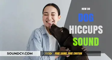 Understanding the Unique Sound of Dog Hiccups: A Pet Owner's Guide