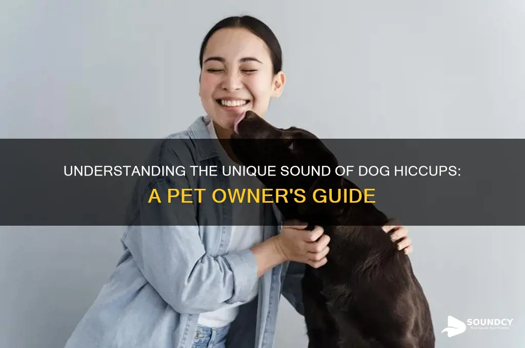 how do dog hiccups sound