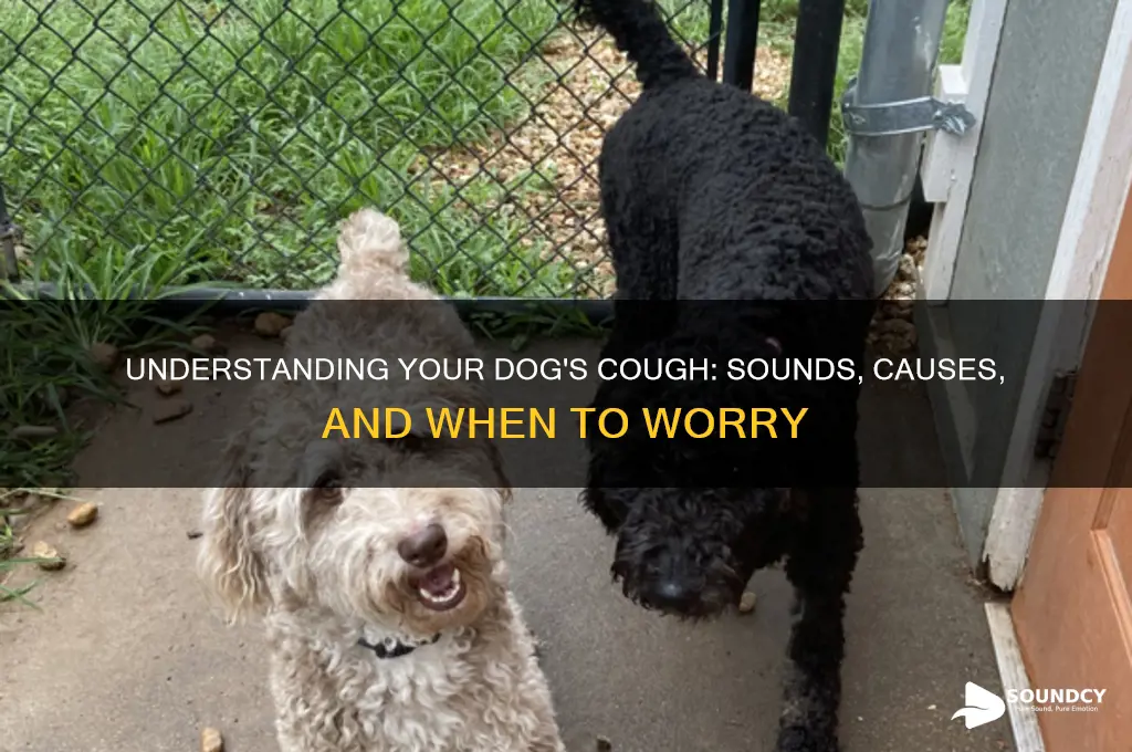 how do dogs cough sound