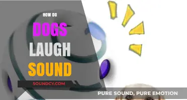Unveiling the Joyful Sounds: How Dogs Express Laughter and Happiness
