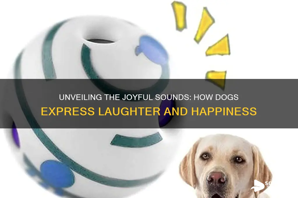 how do dogs laugh sound