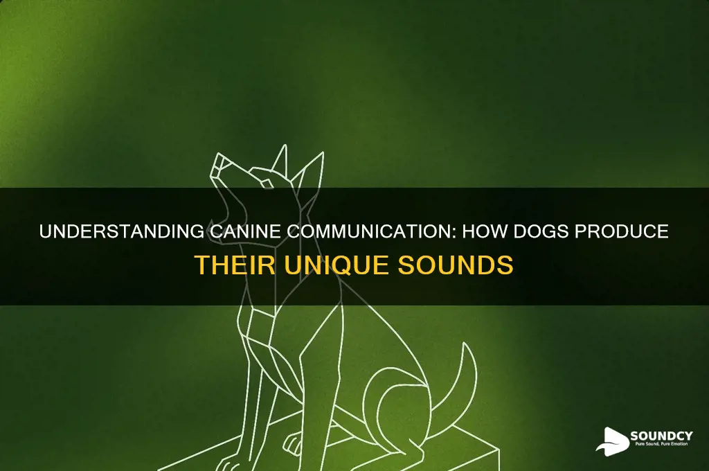 how do dogs make sound