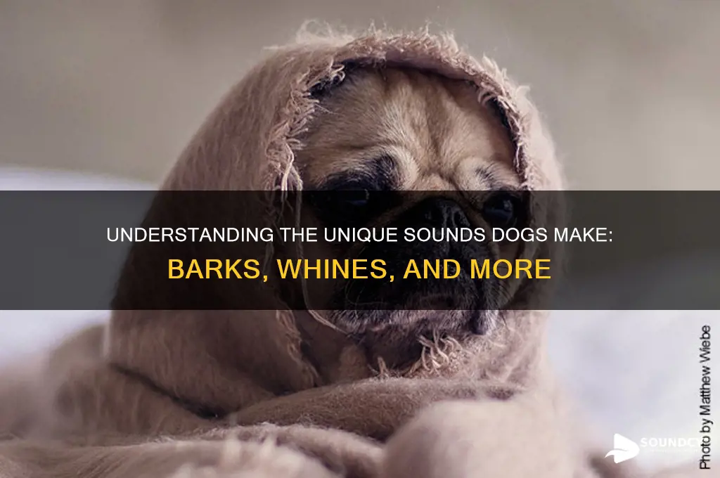 how do dogs sound like