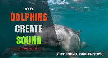 Unveiling the Mystery: How Dolphins Produce Unique Sounds