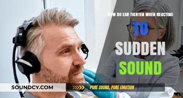 How Ear Muscles Instantly Tighten in Response to Sudden Sounds