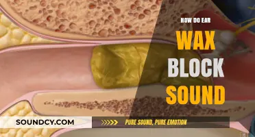 How Ear Wax Buildup Blocks Sound: Causes and Solutions