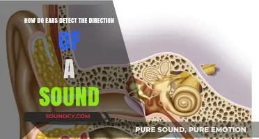 How Our Ears Pinpoint Sound Direction: The Science Behind It