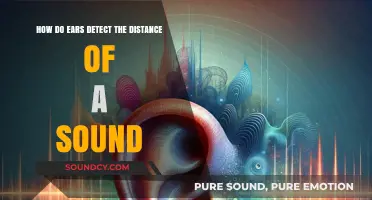 How Ears Pinpoint Sound Distance: The Science of Spatial Hearing