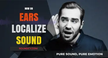 How Our Ears Pinpoint Sound: The Science of Localization