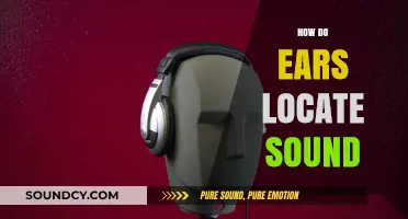 How Our Ears Pinpoint Sound: The Science of Auditory Localization