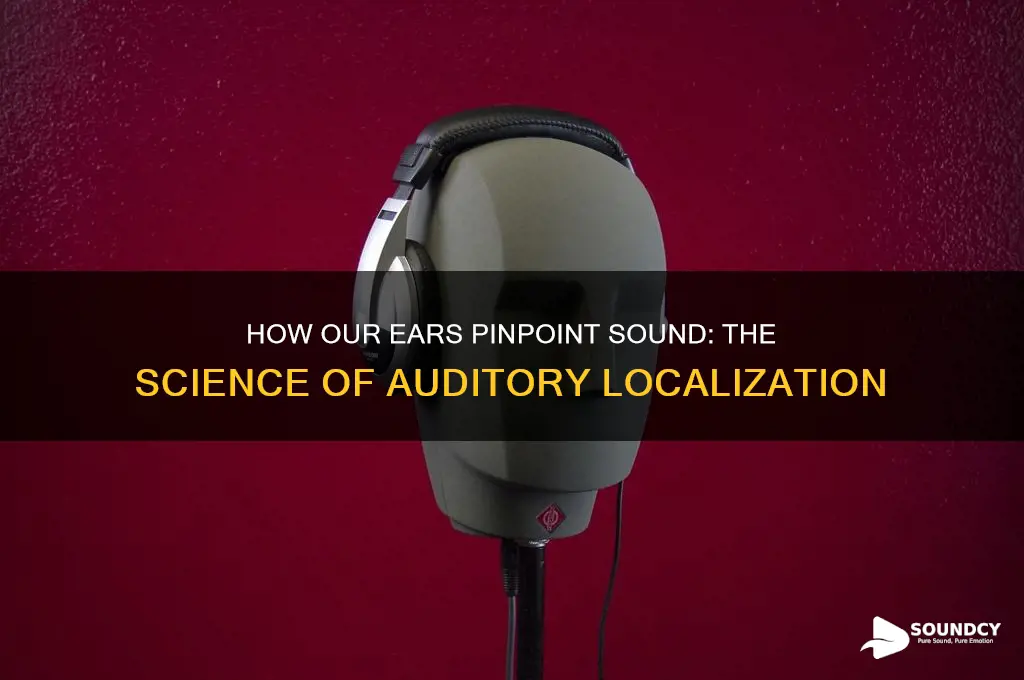 how do ears locate sound