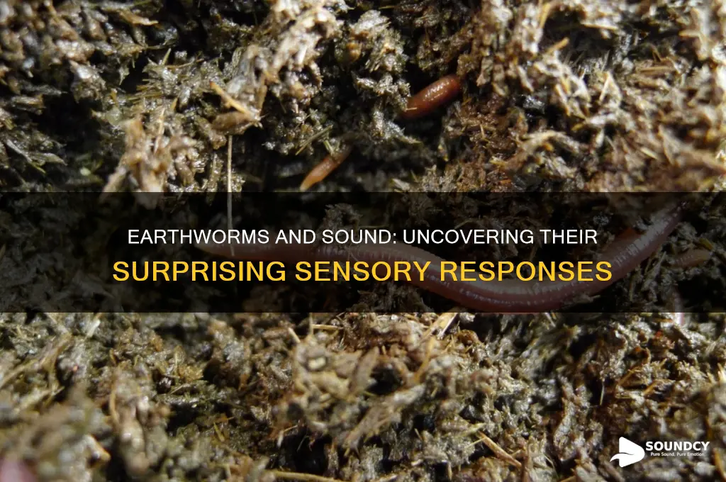 how do earthworms respond to sound